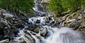 Io sono l'acqua, la vita e lo specchio dell'umanità